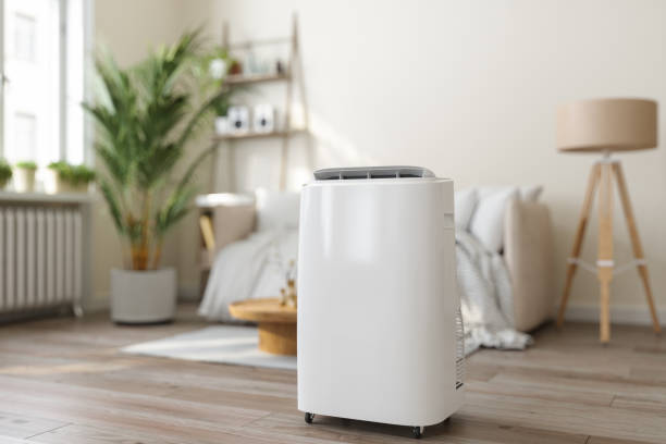 Best Ductless Mini-Split Systems in Ware Shoals, SC